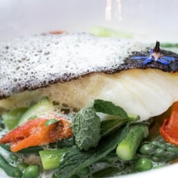 Cod filet with skin laying on top of green vegetables on a plate. Illustration for catering at the FBO in Bergen ENBR